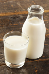 Refreshing White Cold Organic Milk