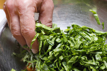Hands of chef preparing chopped cabbage, closeup, selective focu