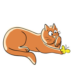 Ginger cat and yellow butterfly