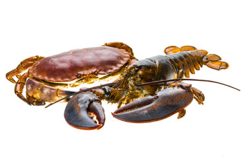 Raw Lobster and Crab
