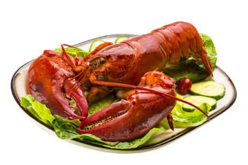Large Lobster