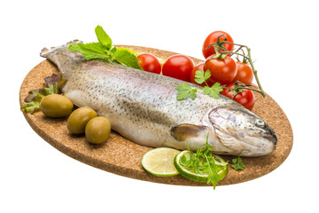 Fresh raw rainbow trout