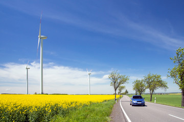 windrad, raps, straße, auto, biodiesel, e10