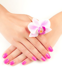 Naklejka na ściany i meble pink manicure with orchid flower. isolated