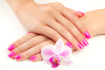 Obraz na płótnie Canvas manicure with orchid flower. isolated