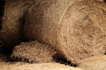 hay bales in a field ( detail )