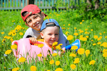 two brothers playing in the flower field in summer