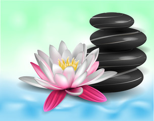 Water lily and zen stones