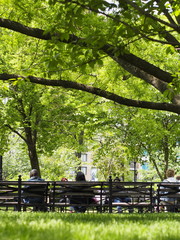 公園でひとやすみ