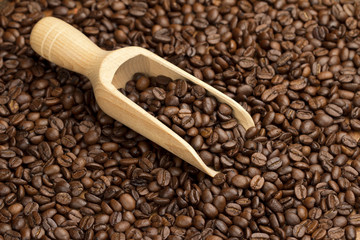 scoop of coffee beans