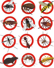 pests icon - color