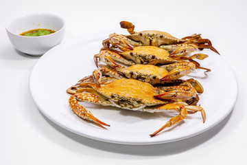 Hot Steamed Blue Crabs.