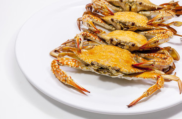 Hot Steamed Blue Crabs.