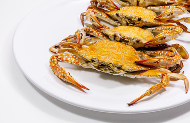 Hot Steamed Blue Crabs.