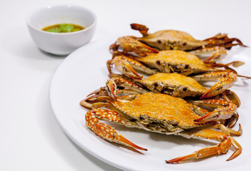 Hot Steamed Blue Crabs.