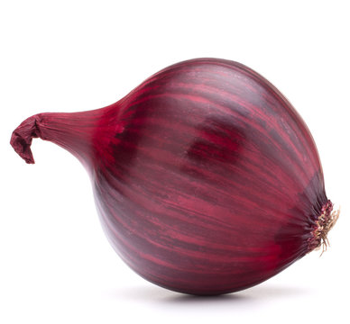 Red Onion Bulb