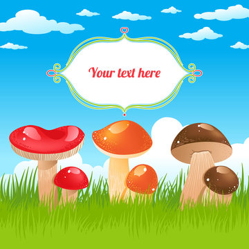 colored mushrooms