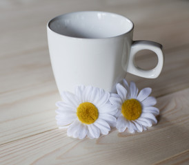 Fototapeta na wymiar tasse blanche et fleur de printemps
