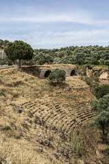 Obraz premium Amphitheatre and aqueductl of Nysa Ancient City in Aydin, Turkey