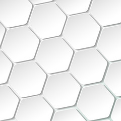 White Paper Hexagon Labels