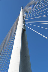 Pylon bridge on Ada, Serbia