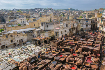 Tannery in Fez, Morocco