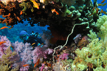 Fototapeta na wymiar Scuba Diver Diver in Cave