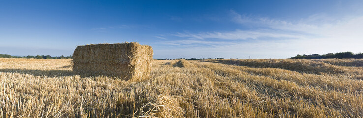 Hay bales, Idyllic rural landscape, UK