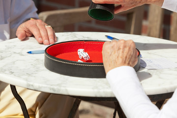Senior couple playing dice game outdoor in garden. Yahtzee.