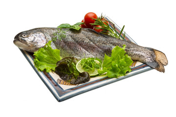 Fresh raw rainbow trout