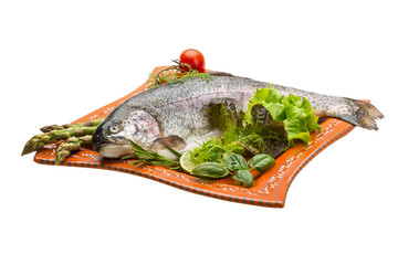Fresh raw rainbow trout