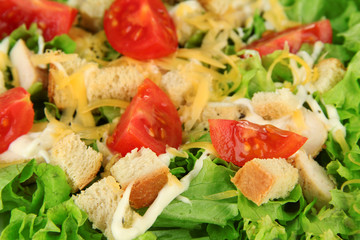 Caesar salad on white plate, close up