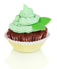 Delicious beautiful cupcake isolated on white