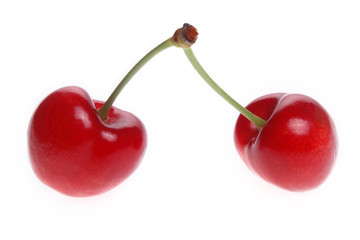 cherry