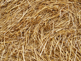 Straw. Background