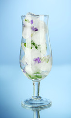 Ice cubes with flowers and herbs in glass, on blue background