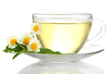 Cup of herbal tea with wild camomiles and mint, isolated
