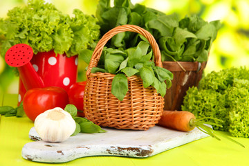 Fresh herb in basket on wooden table on natural background