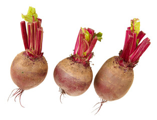 Young beets isolated on white