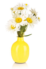 Beautiful bouquet chamomiles in vase isolated on white