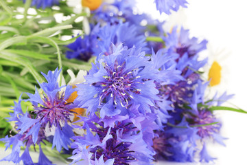 Beautiful bouquet of cornflowers and chamomiles ,isolated