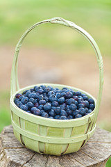 Blueberries in a basket