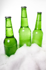 beer bottles in snow