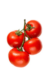 Tomatoes on the vine with drops of water