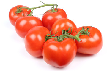 Fresh tomatoes on white background