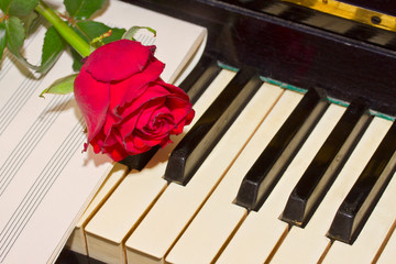 red rose with notes paper on piano