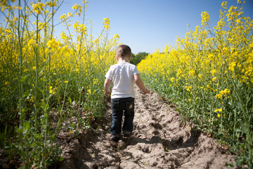 boy in the field