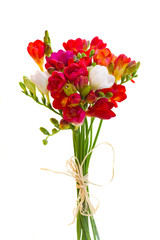 posy of red freesia flowers