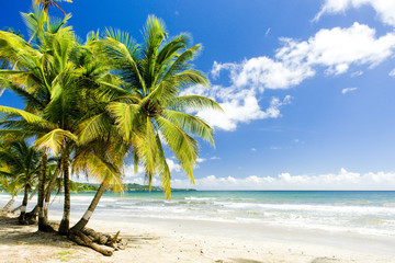 Rockly Bay, Tobago