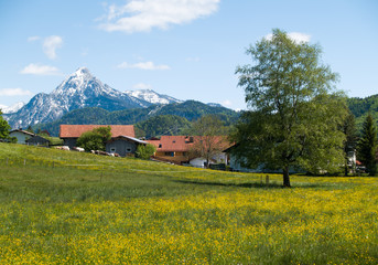 S&auml;uling von Wei&szlig;ensee aus gesehen